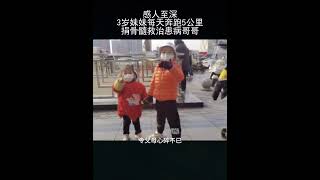 感人至深！3岁妹妹每天奔跑5公里，捐骨髓救治患病哥哥