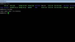 Linux - rm command - w3resource