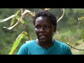 Shamba Shape Up Sn 10 - Ep 19: Meat Processing, Avocado, Conservation Agriculture & EPC (English)