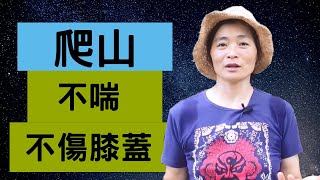 爬山不喘不傷膝蓋——輕鬆爬山技巧