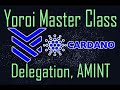 Using Yoroi to Delegate, Master Class