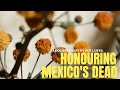 Ofrendas of Mexico DOCUMENTARY | DAY OF THE DEAD