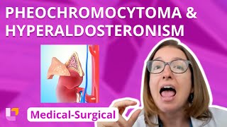 Pheochromocytoma & Hyperaldosteronism - Medical-Surgical  - Endocrine | @LevelUpRN