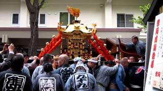 札幌・三吉神社の例大祭　神輿渡御③ 　Miyoshi shrine Rei-taisai (regular rites and festivals) in Sapporo③