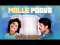 Malle Puvva Full Video Song | Ravoyi Chandamama Movie | Nagarjuna | Mani Sharma | Vyjayanthi Movies