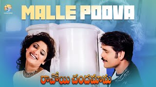Malle Puvva Full Video Song | Ravoyi Chandamama Movie | Nagarjuna | Mani Sharma | Vyjayanthi Movies