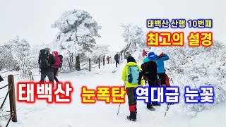 태백산 폭설 역대급 눈꽃 - 해산강트래블(海山江 travel)