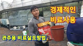 점적관수 관비재배 21복합비료 관주전용비료 녹여서 살포하면 비료절약 됩니다 #복합비료 #청년농부 #만감류 #홈런농장 #오장훈 @homerun_farm