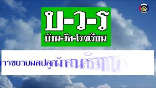 แผนปฏิบัติการ 90 วัน ปลูกผักสวนครัว เพื่อสร้างความมั่นคงทางอาหารของกรมการพัฒนาชุมชน