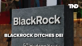 BlackRock distances itself from DEI programs