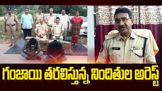 మంగళగిరిలో 77 కేజీల గంజాయి స్వాధీనం | Police Seized 77 kgs of Ganja at Mangalagiri