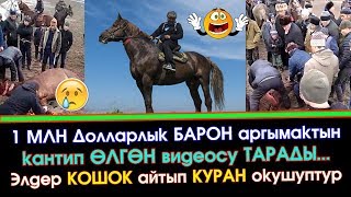 Видео: 1 Млн Доллар👆 БАРОН кантип ӨЛГӨН видеосу ЧЫКТЫ | ЭЛ кошок АЙТЫП куран ОКУШТУБУ? | Элдик Ролик