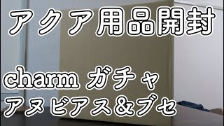 アクア開封 チャームおまかせ水草【アヌビアス・ブセファランドラ】は何が入っているのか！？ 水草ガチャぞい！