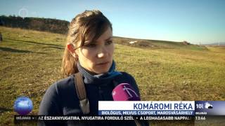 Kárpát Expressz 2016.11.27 - Székelyföld magyar madármentői