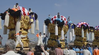 新居浜太鼓祭り３年ぶりに開幕・愛媛新聞