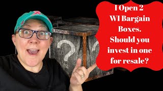 Unboxing 2 WI Bargain Boxes. Are they worth it for Resale?