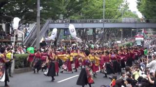 早稲田大学　東京花火・表参道演舞＠2016　原宿スーパーよさこい