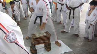 Malaysia Koshiki Karate.MOV