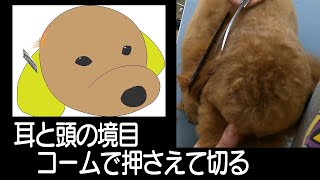 #137　【耳と頭の境目】ガタガタになってうまく切れない人へ