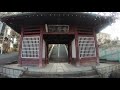 【4k】yamaguchi kannon s cherry blossom and lake sayama 山口観音の桜と狭山湖