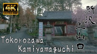 【4K】Yamaguchi-Kannon's Cherry Blossom and Lake Sayama / 山口観音の桜と狭山湖