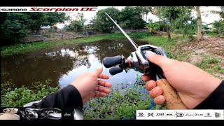 Shimano Scorpion DC 2021 รีวิวการใช้งานแบบบ้านๆขอมูลผิดไปต้องขออภัย