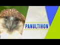 At Home with GMA Regional TV: Panultihon