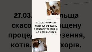 СКАСОВАНО СПРОЩЕННЯ ВВЕЗЕННЯ ДОМАШНІХ УЛЮБЛЕНЦІВ ДО ПОЛЬЩІ