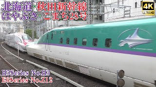 北海道新幹線H5系H3編成+秋田新幹線E6系Z12編成 はやぶさ・こまち28号 240620 JR Hokkaido Shinkansen Tokyo Sta.