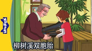 柳树溪双胞胎 33～34｜The Willow Creek Twins｜中文动画｜Chinese Stories for Kids | Little Fox Chinese