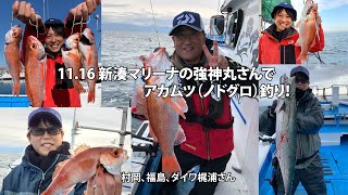 21 11 16　新湊マリーナの強神丸さんでアカムツ（ノドグロ）釣り！