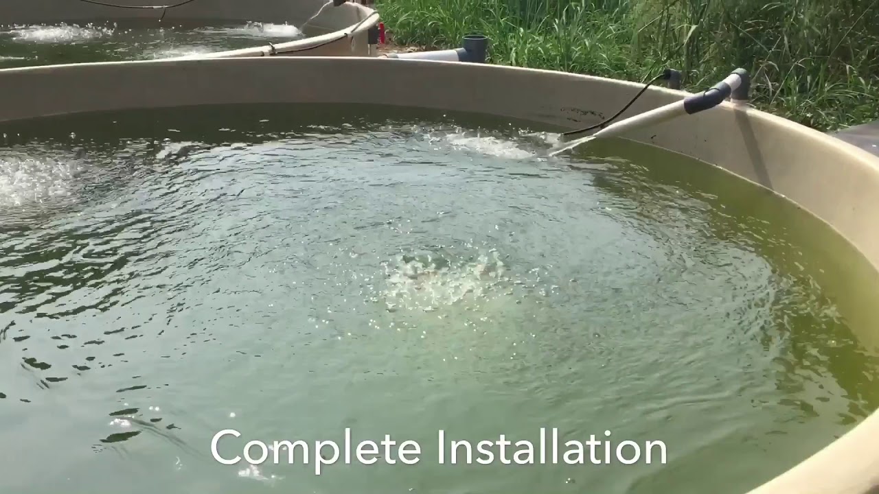 Recirculation Aquaculture System Setup - YouTube