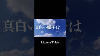 -制作過程③-【文字pv】Lioness' Pride #shorts