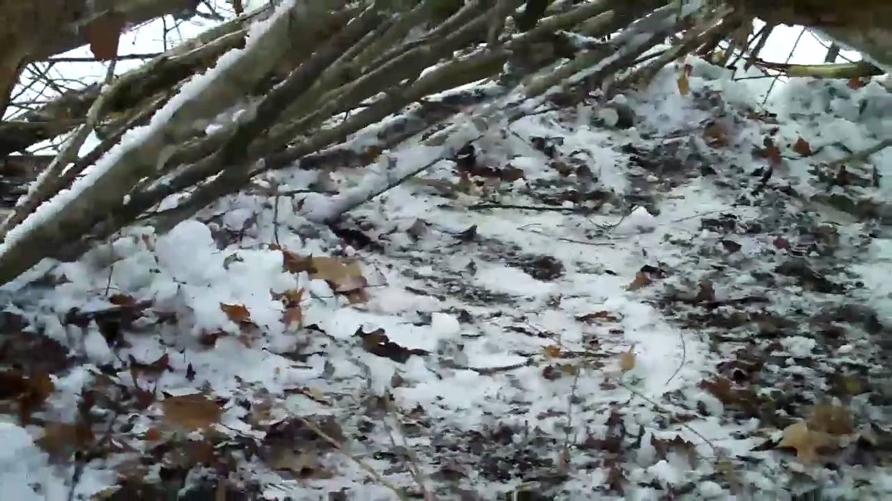Winter Shelter Building Youtube