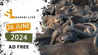 SafariLIVE Sunset - 26 June 2024 -  AD FREE