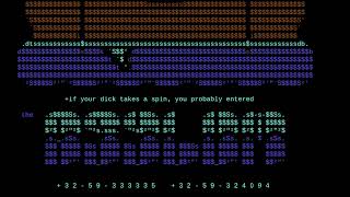 Asylum BBS (19) (demo) for DOS