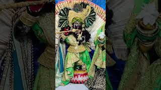 ঘুমোতে যাওয়ার আগে ভগবানকে দর্শন করুন #song #hare_rama_hare_krishna