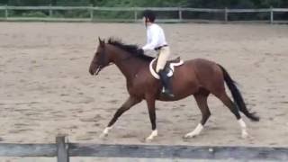 Tanner winning Maiden Hunters first time out.