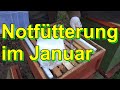 Notfütterung im Januar