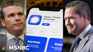 What is Signal and is it secure? Cyber security expert explains amid chat breach