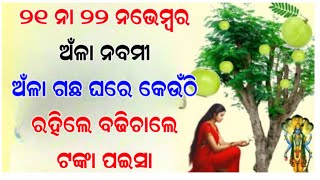 ୨୧ ତାରିଖ ଅଁଳା ନବମୀ । ଘରେ କେଉଁଠି ଏହି ଗଛ ରହିଲେ ହୋଇଥାଏ ଧନର ବର୍ଷା , ଜାଣନ୍ତୁ……