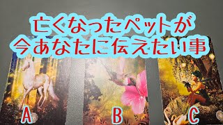 亡くなったペットが今あなたに伝えたい事♪タロット＆オラクルカードリーディング