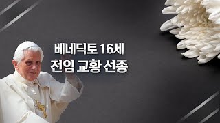 [속보] 베네딕토 16세 전임 교황 선종 (현지 시각 12월 31일 오전 9시 34분)