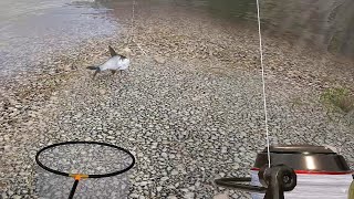 Russian Fishing 4: размот на белой и ...