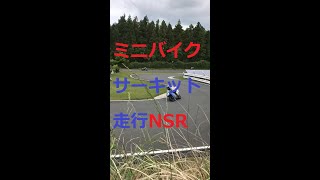 つまようじ：ミニバイク走行