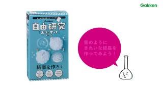 【自由研究おたすけキット】結晶を作ろう