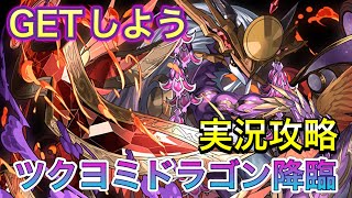 【ツクヨミドラゴン降臨】編成紹介＆立ち回り解説！！【パズドラ】