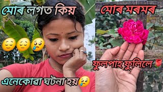 মোৰ জীৱনৰ লগত কিয় এনেকোৱাবোৰ ঘটনা হয়।।আচলতে মই নিজে ই  বেয়া নেকি?😞😢😗Assamese//New//Vlog//🙏🙏