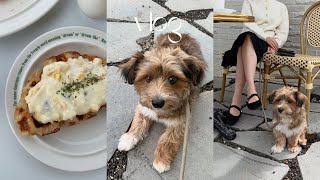 SUB) vlog, 강아지와 첫 카페투어 🐶☕️ 집에서 요리해먹는 브이로그, 데일리룩 소개