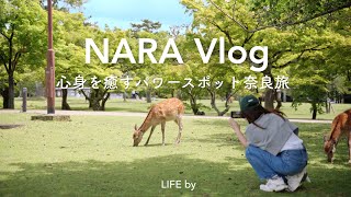 Travel vlog of Nara, Japan | A day to enjoy deer, culture, and cuisine, and relax